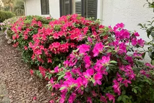 8 Royal Pointe Dr, Hilton Head Island, SC 29926 - Photo 40