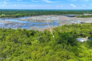 98 Barnaby Blf, Seabrook, SC 29940 - Photo 1