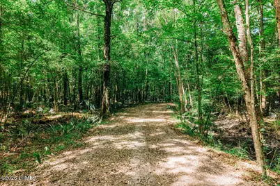 1 Parnel Road, Cope, SC 29038 - Photo 4