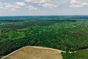 1 Parnel Rd, Cope, SC 29038 - Photo 1