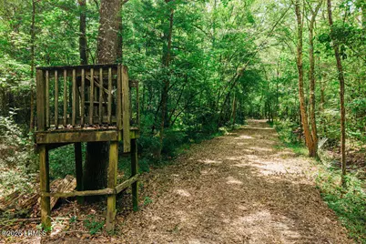 1 Parnel Road, Cope, SC 29038 - Photo 6