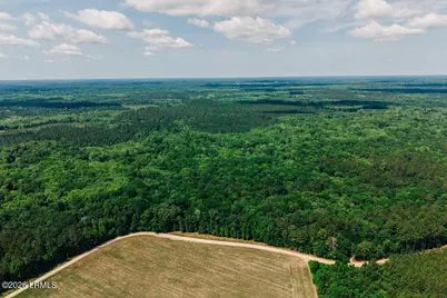 0 Parnel Road, Cope, SC 29038 - Photo 4