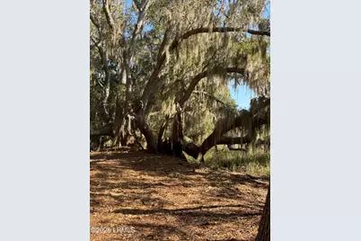 14 River Drive, Beaufort, SC 29907 - Photo 4
