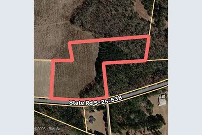 Tbd Mullings Ford Road, Brunson, SC 29911 - Photo 1