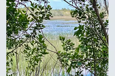 Tbd Mattis Drive, Saint Helena Island, SC 29920 - Photo 2