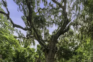1 Inwood Plantation Dr, Beaufort, SC 29906 - Photo 62
