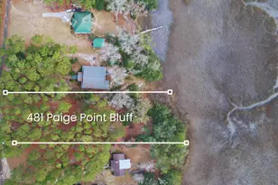 481 Paige Point Bluff, Seabrook, SC 29940 - Photo 1