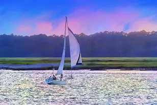 21 Toad Hall, Beaufort, SC 29907 - Photo 54