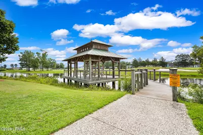 707 Wiregrass Way, Hardeeville, SC 29927 - Photo 46