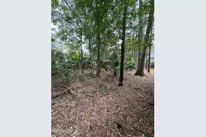 33 Winding Way, Lady's Island, SC 29907 - Photo 18