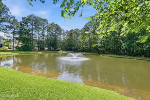 8 Winterberry Ln, Bluffton, SC 29910 - Photo 36