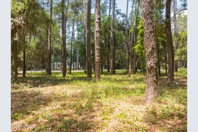 73 Bermuda Downs, Saint Helena Island, SC 29920 - Photo 30