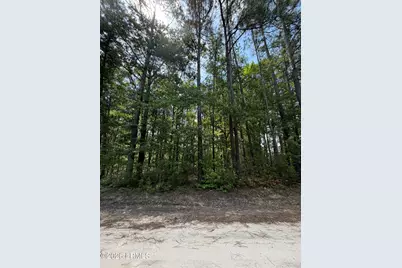 Tbd Hillcrest Drive, Hampton, SC 29924 - Photo 2