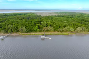 0 S Fenwick Island, Green Pond, SC 29446 - Photo 1