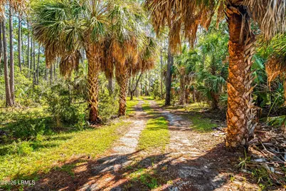 170 Cassena Island Drive, Lady's Island, SC 29907 - Photo 38