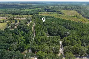 168 Walker Rd, Early Branch, SC 29916 - Photo 34