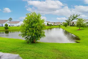 129 Raines Wy, Okatie, SC 29909 - Photo 50