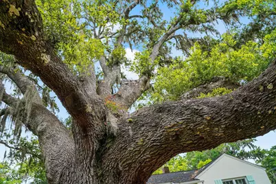 1119 Lafayette Street, Beaufort, SC 29902 - Photo 38