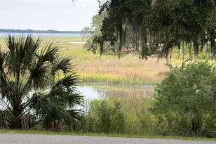 203 Black Skimmer Dr W, Beaufort, SC 29907 - Photo 44