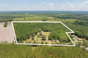 3958 Pineland Rd, Varnville, SC 29944 - Photo 50