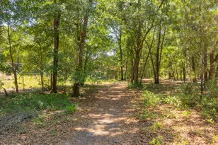 3958 Pineland Rd, Varnville, SC 29944 - Photo 44
