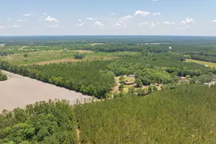 3958 Pineland Rd, Varnville, SC 29944 - Photo 54