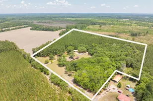 3958 Pineland Rd, Varnville, SC 29944 - Photo 52
