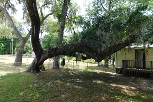 911 Grant St, Beaufort, SC 29906 - Photo 4