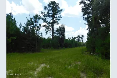Tbd Gillison Branch Road, Ridgeland, SC 29936 - Photo 8