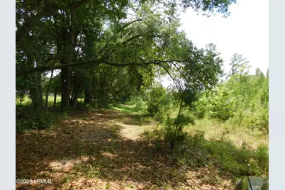 Tbd Gillison Branch Road, Ridgeland, SC 29936 - Photo 2