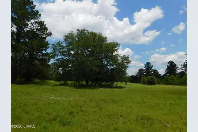 Tbd Gillison Branch Road, Ridgeland, SC 29936 - Photo 16