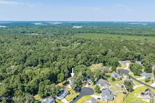 35 White Heron Dr, Beaufort, SC 29907 - Photo 48