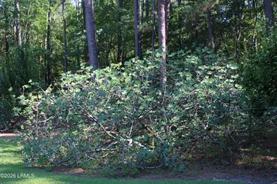 6054 Yemassee Highway, Varnville, SC 29944 - Photo 26