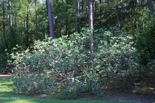 6054 Yemassee Hwy, Varnville, SC 29944 - Photo 26