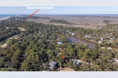 407 Porpoise Drive, Ladys Island, SC 29920 - Photo 10