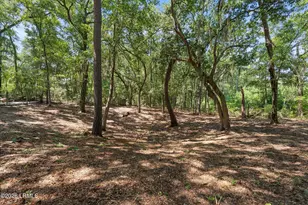 15 Brickman Way, Beaufort, SC 29907 - Photo 34
