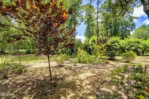 8 Gator Ln, Beaufort, SC 29907 - Photo 62