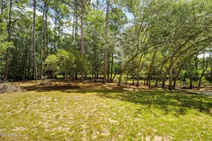 8 Gator Ln, Beaufort, SC 29907 - Photo 58