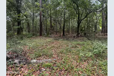 43 Pine Grove Road, Beaufort, SC 29906 - Photo 1