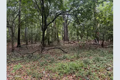 43 Pine Grove Road, Beaufort, SC 29906 - Photo 2