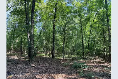 6434 Sc Highway 3, Barnwell, SC 29812 - Photo 4