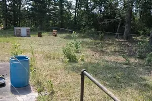 3385 St Peters Rd, Walterboro, SC 29488 - Photo 20