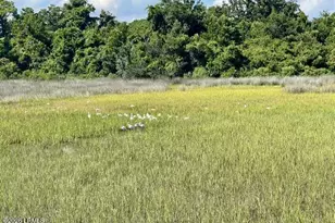 663 William Hilton Pkwy, Hilton Head Island, SC 29928 - Photo 50