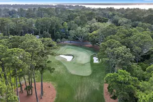 5 Wood Duck Ct, Hilton Head Island, SC 29928 - Photo 60