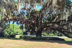 967 Sea Island Pkwy, Saint Helena Island, SC 29920 - Photo 4