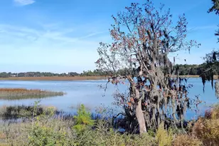 1272 Windswept Oak Ln, Beaufort, SC 29902 - Photo 2