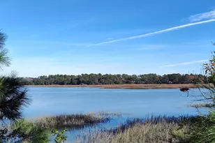 1272 Windswept Oak Ln, Beaufort, SC 29902 - Photo 4