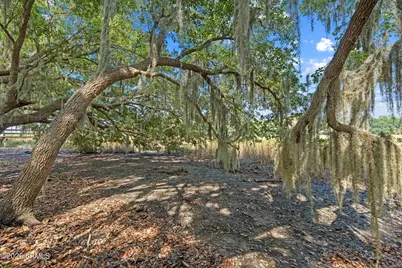 54 Bermuda Inlet Drive, Saint Helena Island, SC 29920 - Photo 22