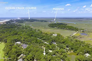 502 Remora Dr, Ladys Island, SC 29920 - Photo 56