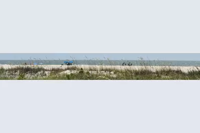 15 Green Wing Teal Road, Hilton Head, SC 29928 - Photo 54